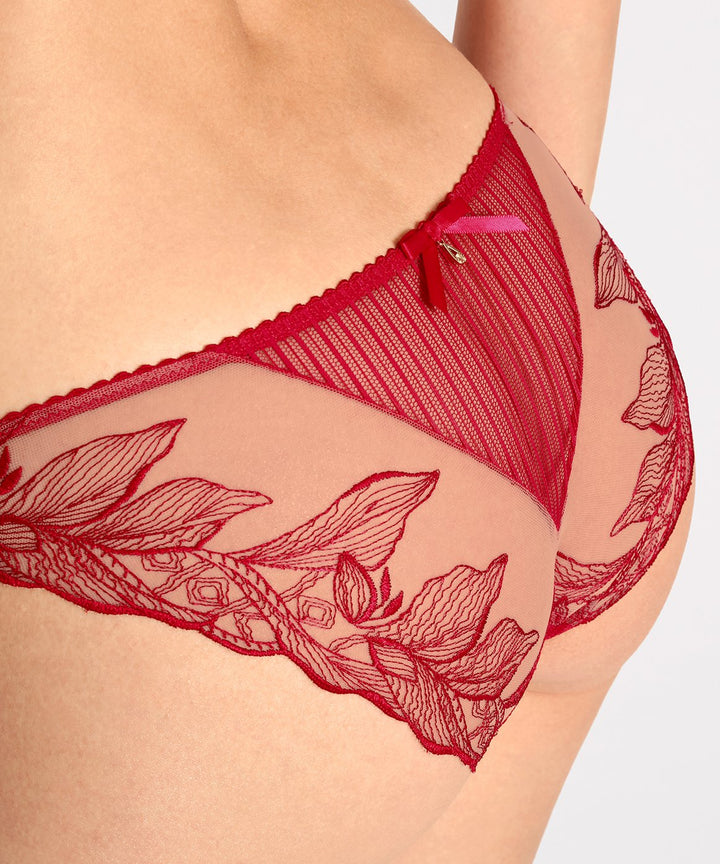 Aubade Italian Brief - Fleur de Tattoo