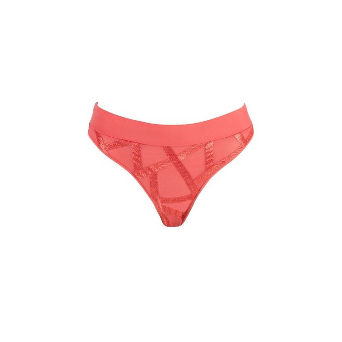 Louisa Bracq Brazilian Brief